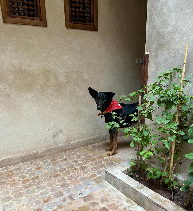 Riad Alena Marrakesh Exterior foto